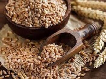 Farro