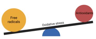 Antioxidanty obsažené v kávě pomáhají chránit buňky před poškozením a oxidačním stresem.