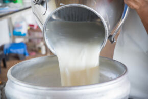 Nutričné ​​hodnoty v surovom mlieku﻿﻿