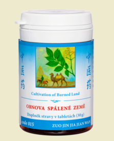 015 - Obnova spálené země