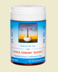 034 - Ovoce stromu života