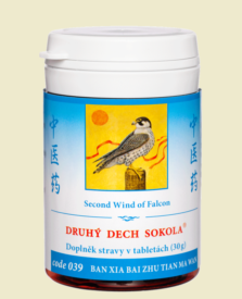 039 - Druhý dech sokola
