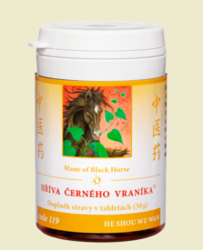 119 - Hříva černého vraníka