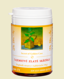 171 - Tajemství zlaté skříňky