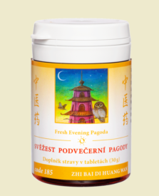 185 - Svěžest podvečerní pagody