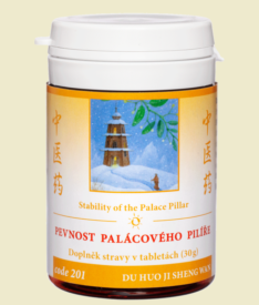 201 - Pevnost palácového pilíře