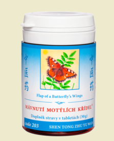 203 - Mávnutí motýlích křídel
