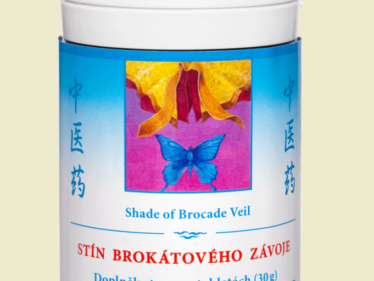 012 - Stín brokátového závoje