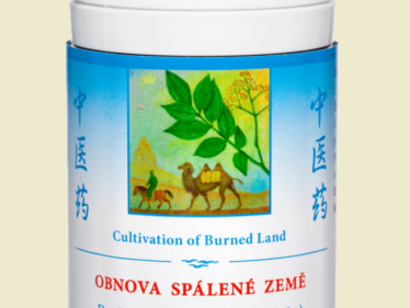 015 - Obnova spálené země