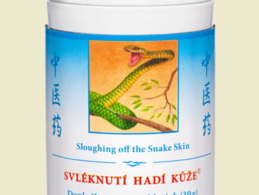 019 - Svléknutí hadí kůže