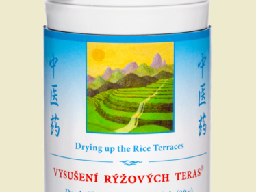 021 - Vysušení rýžových teras