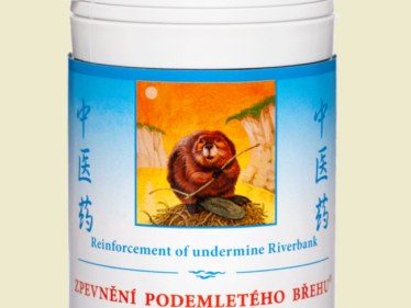 041 - Zpevnění podemletého břehu