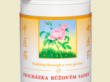 043 - Procházka růžovým sadem