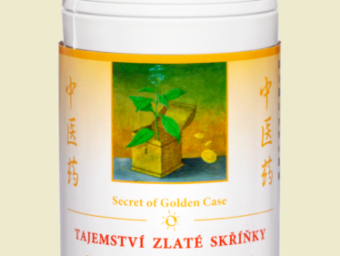 171 - Tajemství zlaté skříňky