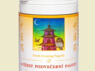 185 - Svěžest podvečerní pagody