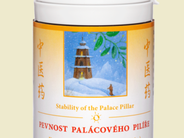 201 - Pevnost palácového pilíře