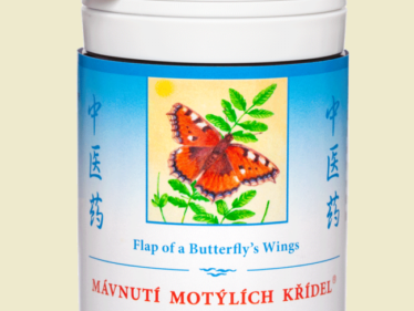 203 - Mávnutí motýlích křídel