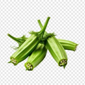Okra