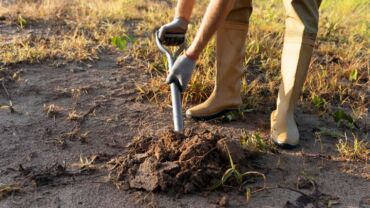 Zakopejte napadené plody alespoň 30 cm pod povrch půdy.